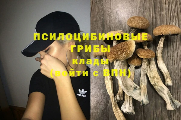 дмт Армянск