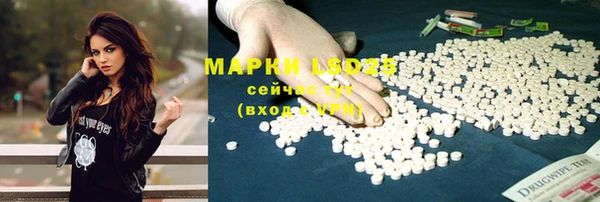 a pvp Вуктыл