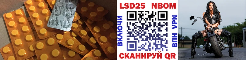 наркота  Жиздра  Лсд 25 экстази кислота 