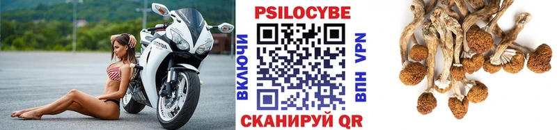Галлюциногенные грибы Cubensis  Жиздра 