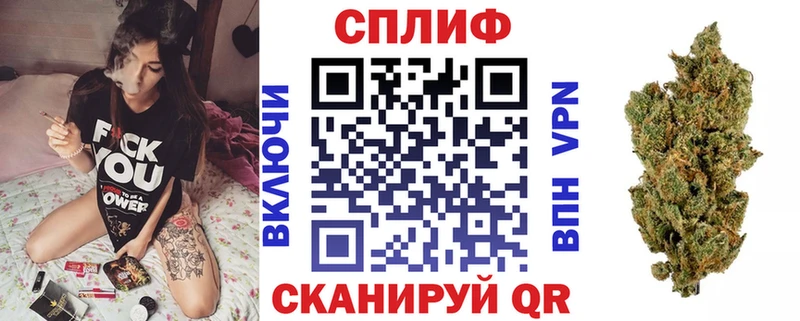 как найти наркотики  Жиздра  Бошки Шишки Bruce Banner 